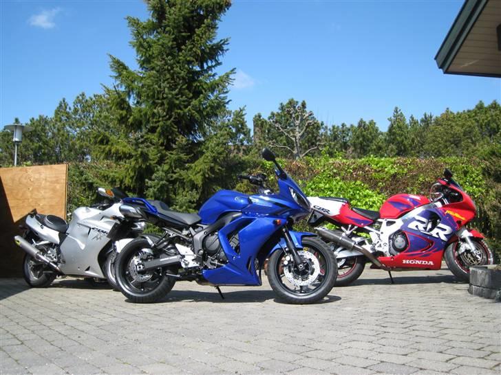 Yamaha FZ6S ( Kone-cykel ) SOLGT - Min Blackbird, konens FZ6s og knægtens Fireblade. billede 10