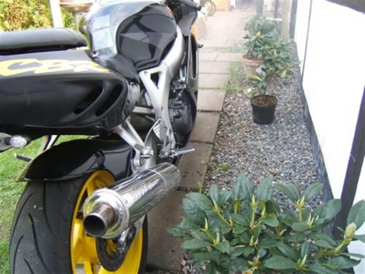 Honda CBR900rr billede 5