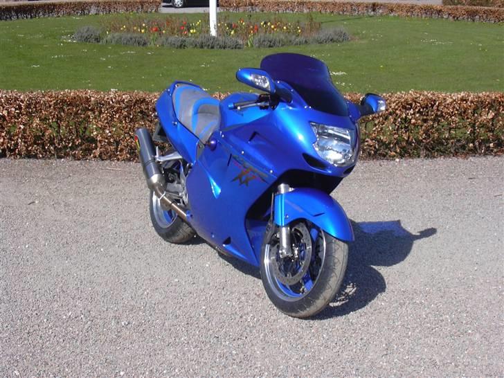 Honda CBR 1100 BLACKBIRD billede 1