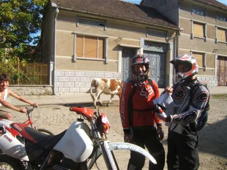 Yamaha - Solgt - TT600R billede 4