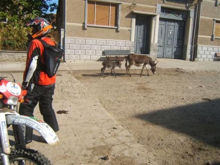 Yamaha - Solgt - TT600R billede 5