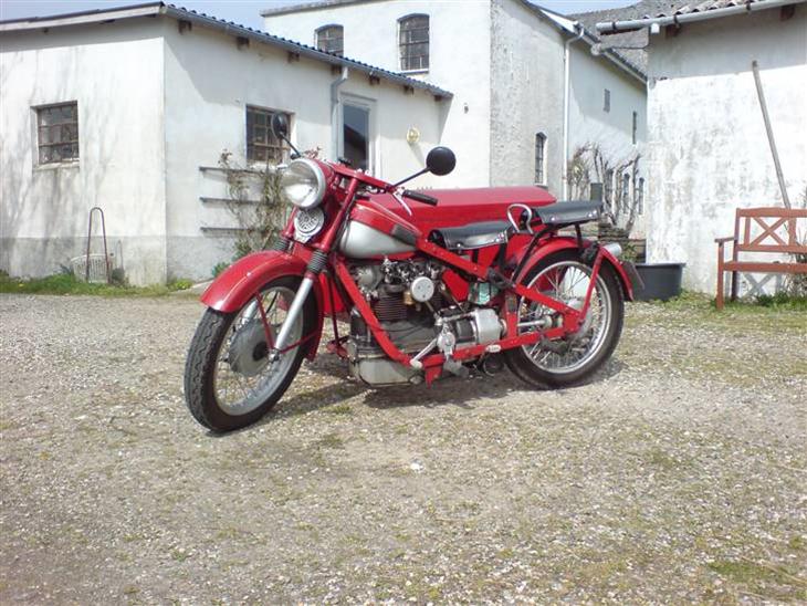 Nimbus humlebi billede 1