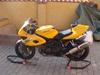 Suzuki Tl1000s