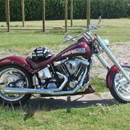 Harley Davidson softtail