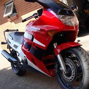 Honda CBR1000F Dual Brake