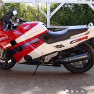 Honda CBR1000F Dual Brake