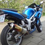 Suzuki SV 650S SOLGT