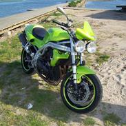 Triumph Speed Triple T509