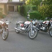 BSA A65L