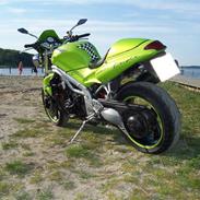 Triumph Speed Triple T509