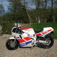 Yamaha Fzr 1000 Exup