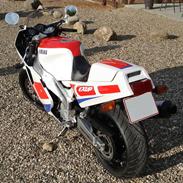 Yamaha Fzr 1000 Exup