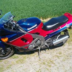 Kawasaki Zzr 600