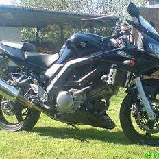 Suzuki SV650S K5 (SOLGT)