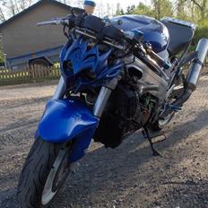 Suzuki tl1000r streetfighter
