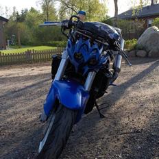 Suzuki tl1000r streetfighter