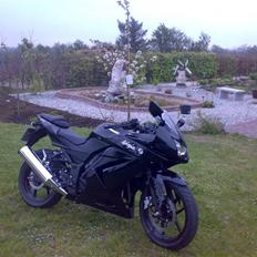 Kawasaki Ninja 250R (Solgt)