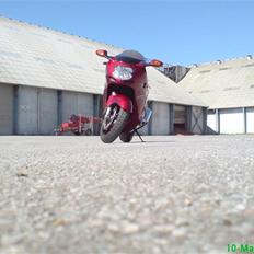 Honda CBR1100XX Super Blackbird