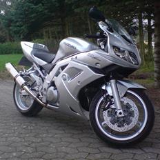 Suzuki SV 1000 S (Solgt)