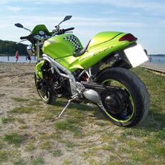 Triumph Speed Triple T509