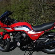 Kawasaki gpz 750 unitrak