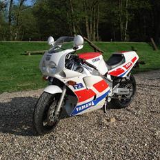 Yamaha Fzr 1000 Exup