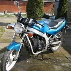 Suzuki GS 500 E (SOLGT)