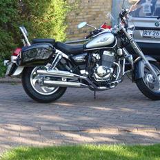 Jinlun chopper 250-5