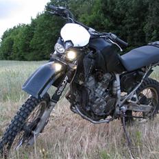 Honda Transalp 600v "Solgt"