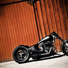 Harley Davidson Satori Bike