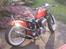 Harley Davidson knucklehead