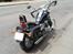 Regal Raptor DD250E-9B - 250 cc