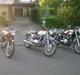 BSA A65L