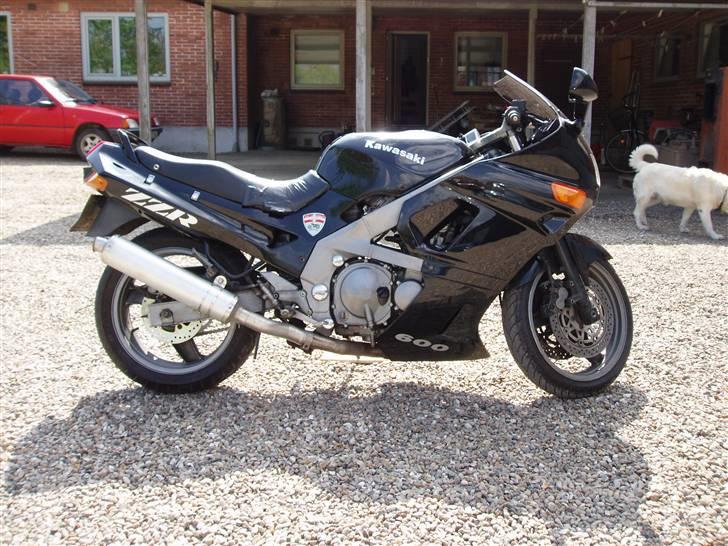 Kawasaki ZZR 600 (zx600d) billede 11