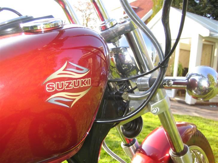 Suzuki LS 650 Savage solgt billede 8