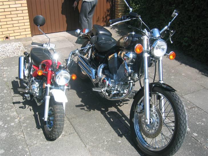 Jincheng Monkey 140 ccm Monster - SOLGT - Storebror og lillebror. billede 8