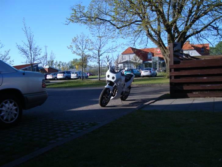 Suzuki GSX-R 250  billede 2