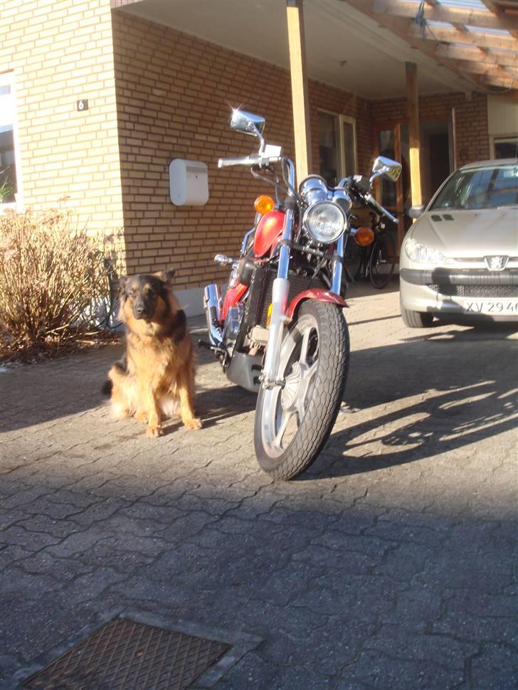 Honda Super Magna billede 2