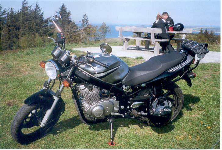 Suzuki GS 500 K7 - På Salgerhøj på Mors billede 11