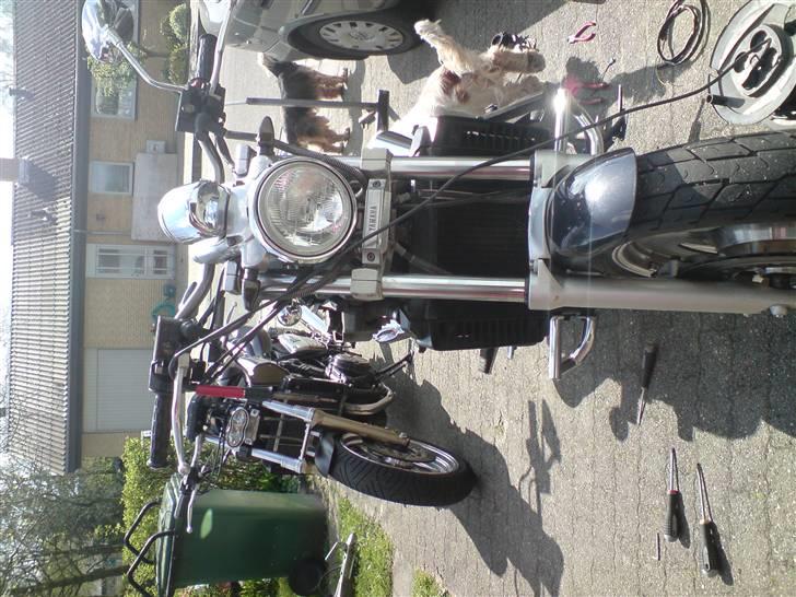 Yamaha vmax  solgt - ja nye blink lys også den var jo lige ved at vælte med de andre på haha  billede 9