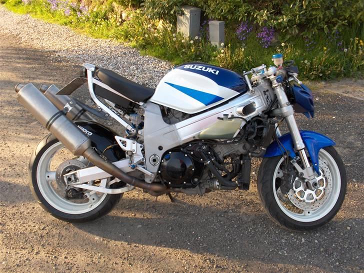 Suzuki tlr1000