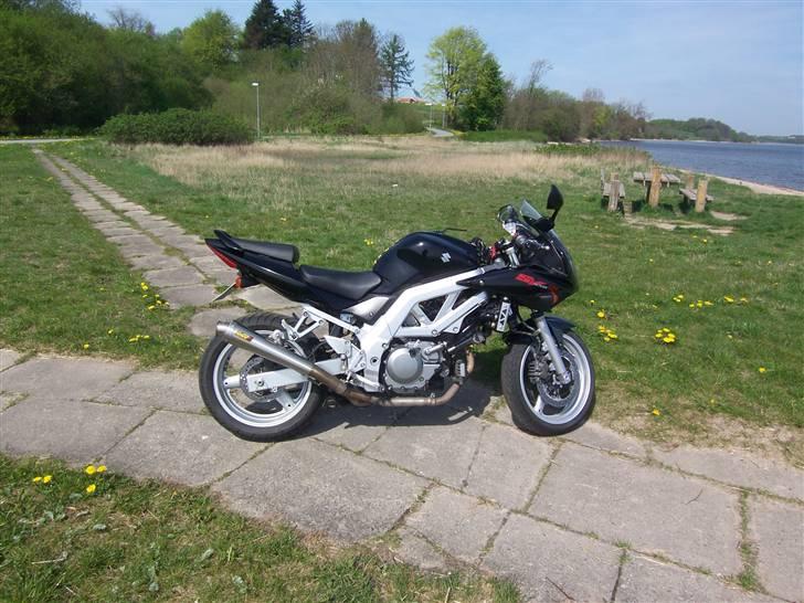 Suzuki sv650s billede 15