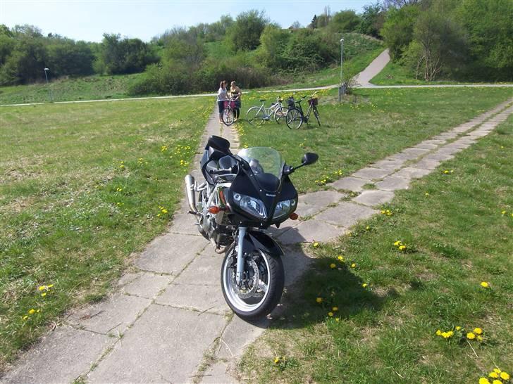 Suzuki sv650s billede 16