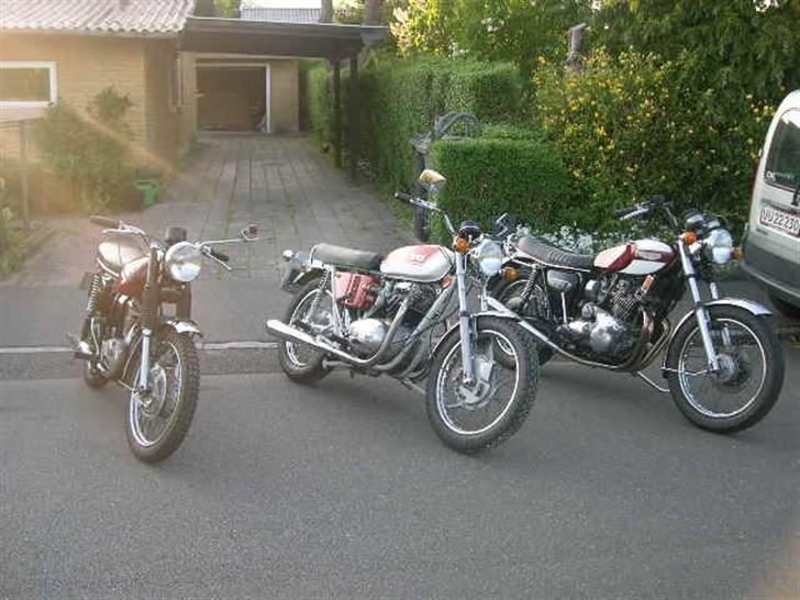 BSA A65L billede 1