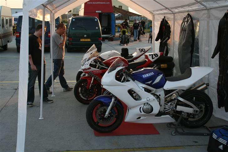 Suzuki RF900TilSalg              billede 7