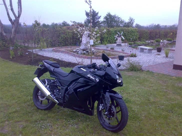 Kawasaki Ninja 250R (Solgt) billede 2