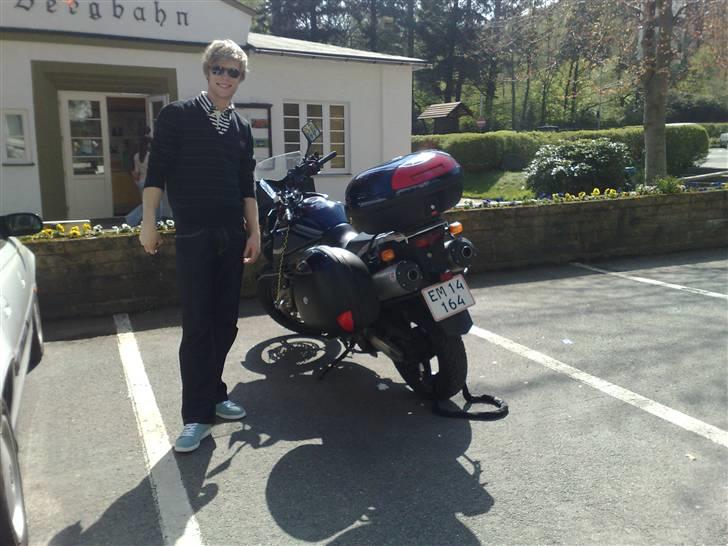 Suzuki DL 1000 billede 2