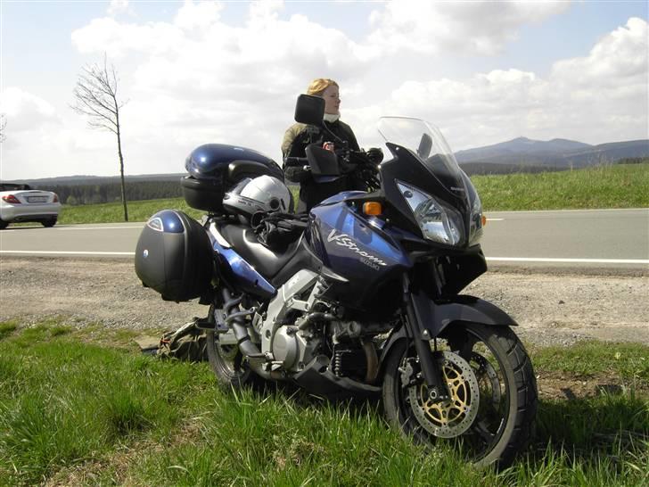 Suzuki DL 1000 billede 3