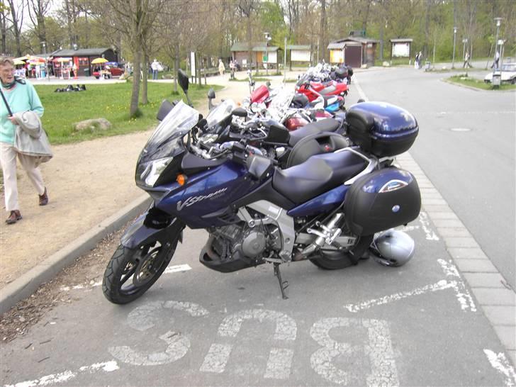 Suzuki DL 1000 billede 4