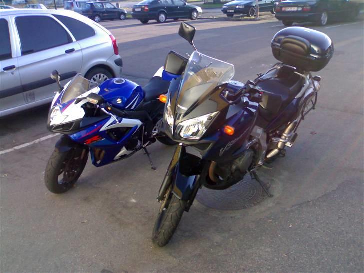 Suzuki DL 1000 - Lille og hidsig vs. stor og afslappet billede 6